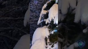 1000010471.mp4