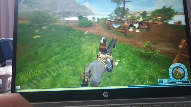 Какую лошадь я куплю? StarStable🐎⭐️ ч.1! Я вернулась на канал :) смотреть онлайн