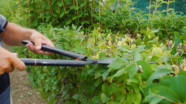 Говорят сотрудники: Мария Мельник смотреть онлайн