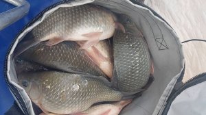 Рыбалка в метель. Рыба заклевала, но нужно было ехать домой