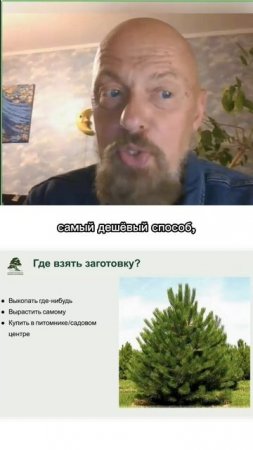 Где взять заготовку под ниваки? Часть 2