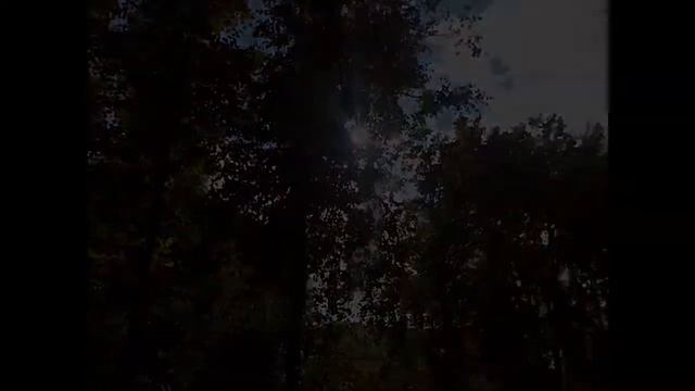 Лето.