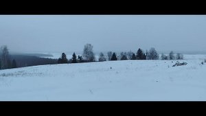 Люблю охоту