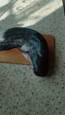 Сегодня вечером будет глобальное видео о будущем на моём канале