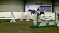 Boston 6 yr old by Verdi x Quidam De Revel