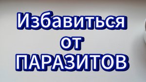 Продукты которые способны избавить Вас от паразитов.