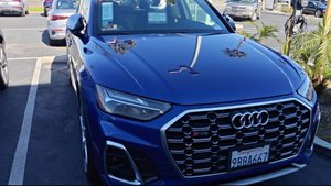 Цена на AUDI Q5 и не только с пробегом в США февраль 2025