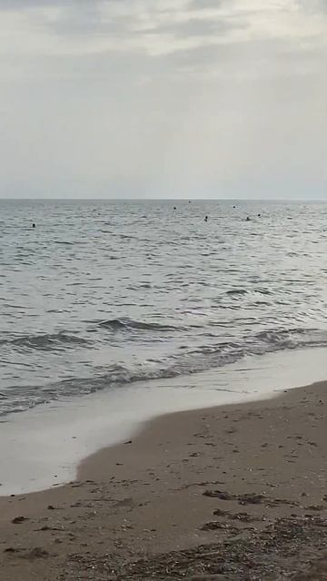 Warm Wetter смотреть онлайн