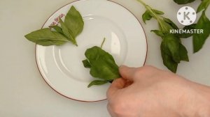 Базилик п ф