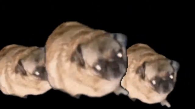 Just a puggo dancing to Helltaker смотреть онлайн