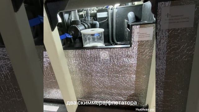 Аквариум для устриц в ресторан купить. Морская витрина передержка для устриц ,мидий, морских ежей. смотреть онлайн