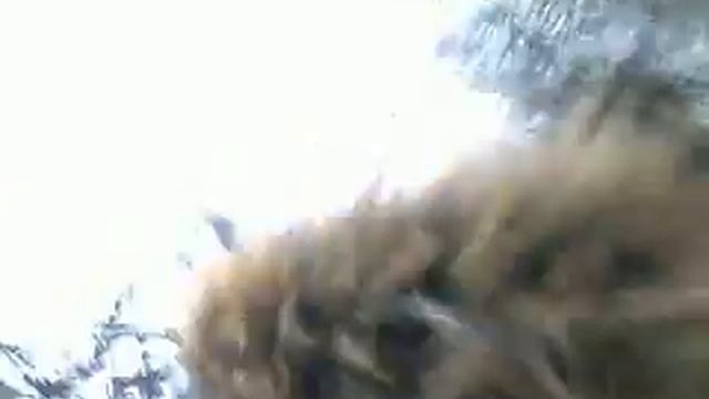 13122010041
