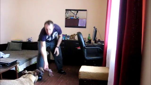 Пиян морков смотреть онлайн