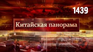 Заседание Совбеза ООН, перспективы малого бизнеса, развитие ИИ, «Горячая линия Пекина» – (1439)