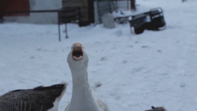 вот так если без слов смотреть онлайн