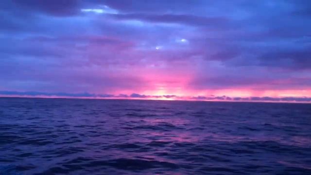 CORSICA 2 - Cam смотреть онлайн