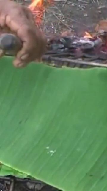 Cara Memanggang Ikan Ular (Sidat) смотреть онлайн