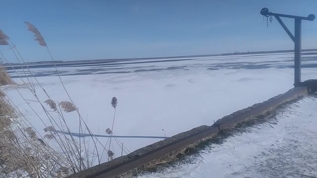 VID_20250220_102554