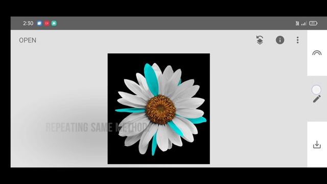 Flower photo editing | colour grading | flower editing | snapseed editing