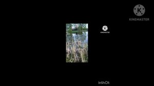 Произведение «Мозаика времён» отображает жизнь героев со времён Российской империи по 80 года 20века