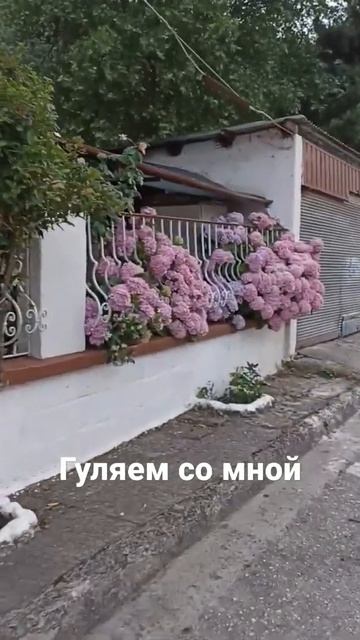 ГУЛЯЕМ, ЛЮБУЕМСЯ КРАСОТОЙ смотреть онлайн