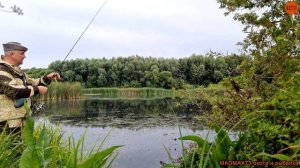 Рыбалка на лайтовый спиннинг Щука срезала поводок сход щуки в прямом эфире