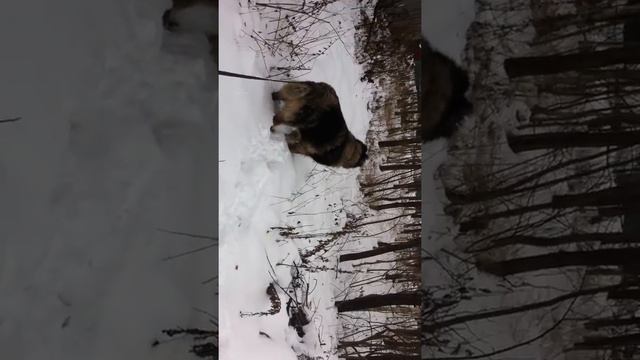 Лайма. Январь 2015 смотреть онлайн