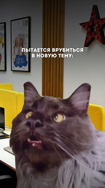 Первая международная кибершкола для детей #ITшкола #детскоеобразование #lTобучение