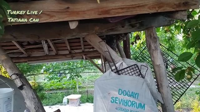 VLOG_К родителям в огород _Собираем Черешню и виноградные листья _Домашнее видео с мужем _Турция смотреть онлайн