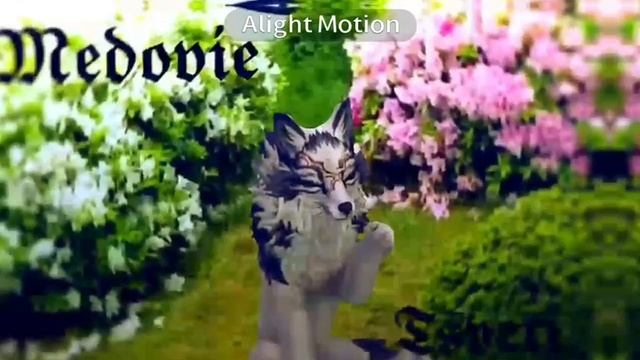 wcmv: кто же ты? смотреть онлайн