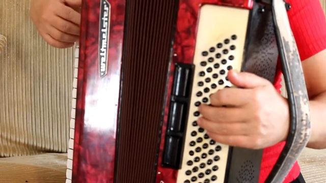 🎹 ОЙ, ЦВЕТЁТ КАЛИНА (Игра КРУПНЫМ ПЛАНОМ) Популярная песня для аккордеона и баяна + ПЛЮС НОТЫ смотреть онлайн