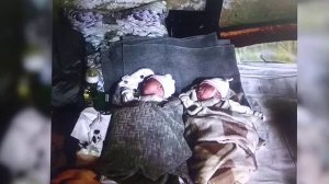 Страшная сказка/Борис Пастернак,1941г./