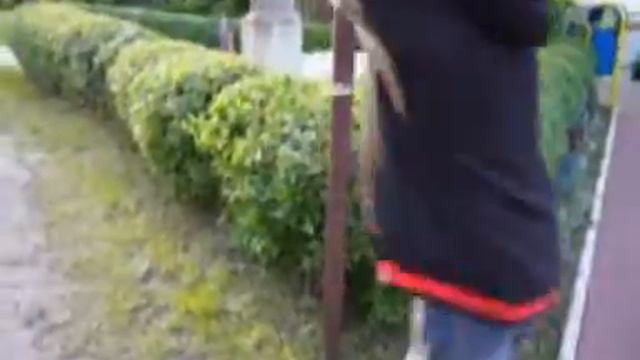 Żywopłoty i inne xDD смотреть онлайн