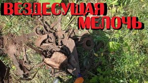 ✔ КОП В ДАЛЕКОМ ЛЕСНОМ СЕЛЕНИИ И ЕГО ОКРАИНАХ!