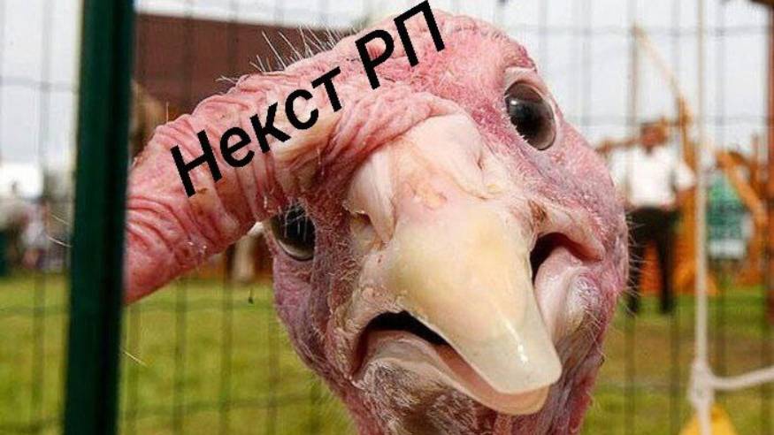 С наступающим 8 марта,индейка🌸