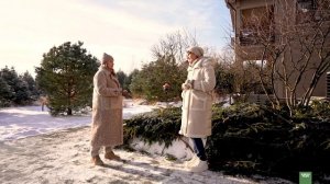 Сказочный сад злаков в Подмосковье  Победитель премии по ландшафтному дизайну!