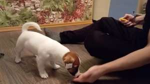 Упражнения на самоконтроль, выдержку и расслабление. Возраст 3 месяца