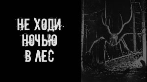 Не ходи ночью в лес! Страшные истории на ночь. Страшилки на ночь. Жуткие истории. Ужасы