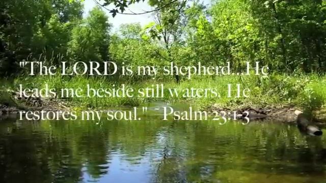 "Meet With Me" by Ten Shekel Shirt смотреть онлайн