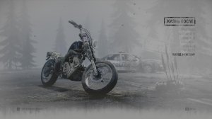 Days Gone