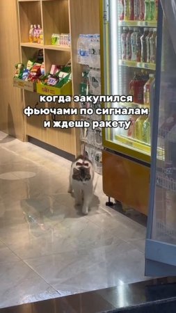 Регистрируйтесь на Бесплатный курс для трейдеров с нуля 💸по ссылке в описании канала