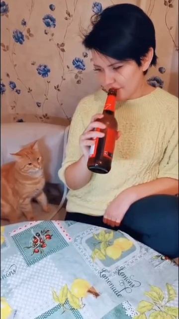 Кот против алкоголизма 🤣 смотреть онлайн