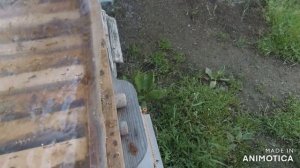 Проверяем результат расширения семей по Лонину