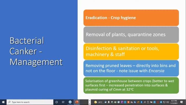 Tomato cankerrisk mitigation strategies
