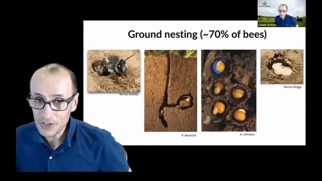 Supporting Beneficial Insects on Farms and in the Landscape смотреть онлайн