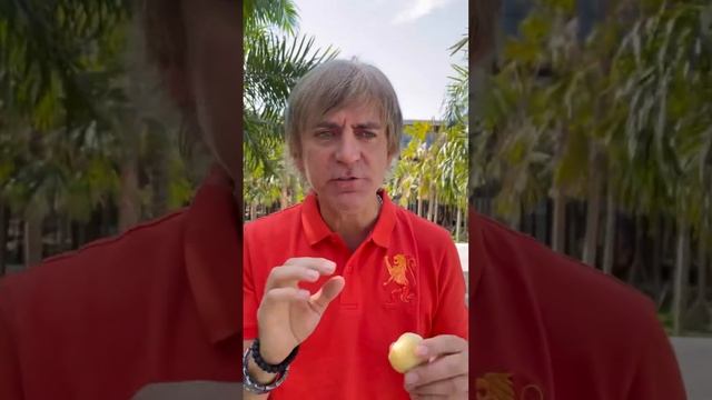 Премудрости Бали