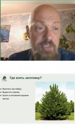 Где взять заготовку под ниваки? Часть 1