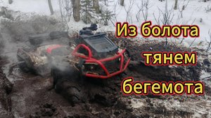 Квадроциклы в болоте: Brp Renegade выиягивает Odes. Или наоборот?