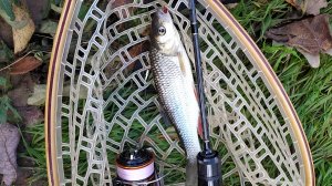 Десна, 8 октября  Мормышинг(архивное видео 2022 года)