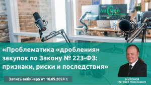 «Проблематика «дробления» закупок по Закону № 223-ФЗ: признаки, риски и последствия»